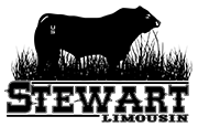 STEWART LIMOUSIN